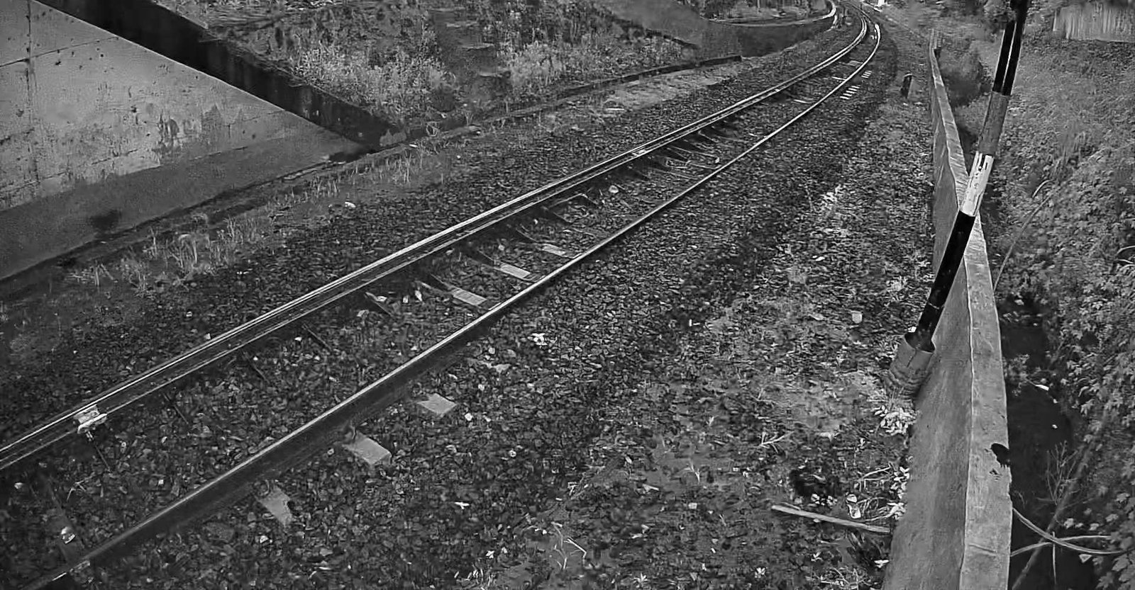 2026-05-06 05:50:35.jpg